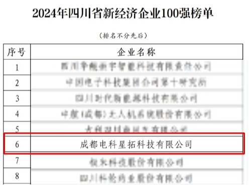 电科LEWIN乐玩荣膺“2024年四川省新经济企业”100强榜单.jpg